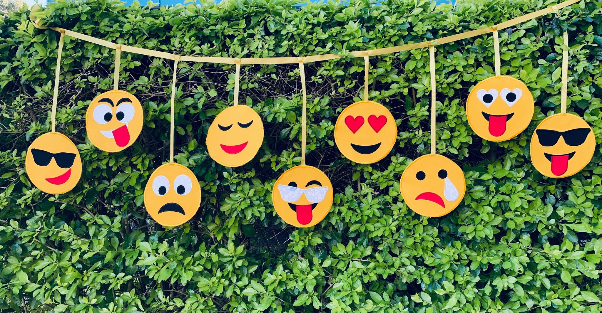 Emoji’s Gone Wild!