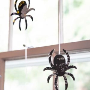 go! spinning spiders home décor pattern